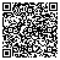 Disco Night at The Turtle Bar! @ The Turtle – CALENDAR