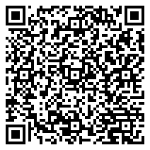 Energetic Meeting at The Turtle Bar! @ The Turtle – CALENDAR