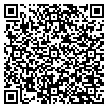 300 million year-old fossil bed unearthed in Yunnan's Honghe – GoKunming