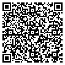 Chinese bishop, excommunicated by Vatican, ordains new priests – GoKunming