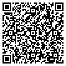 Mr Sea Turtle (海龟先生) @ Modernsky Lab Kunming – CALENDAR