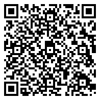 Amala Live at The Turtle Bar! @ 醉龟 – CALENDAR