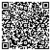 “Ignite Band” Live @ the Beer Garden @ O'Reilly's Irish Pub • Beer Garden (Dongfeng) – CALENDAR