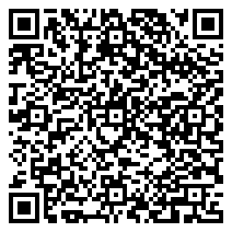 Kunming-Kolkata rally aims to improve regional ties – GoKunming