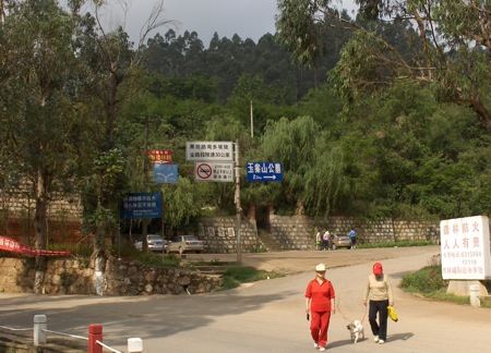 Turn right here
