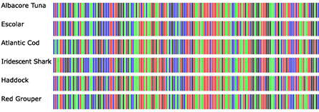 An example of what future DNA barcoding may look like