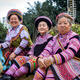 Snapshot: Miao Flower Mountain Festival in Wenshan