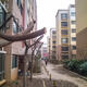 Kunming trees and utilities still suffering from January cold
