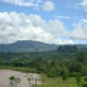 Sacred forests of the Dai people: Last refuges of biodiversity