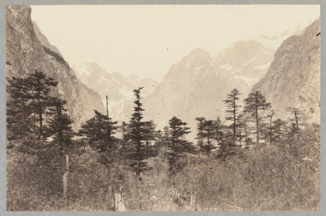 Mountains with conifers May 25, 1922