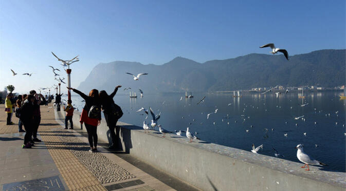 Siberian gull season on Haigeng Dam before the renovation