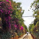 Bye-bye for now Kunming narrow gauge railway