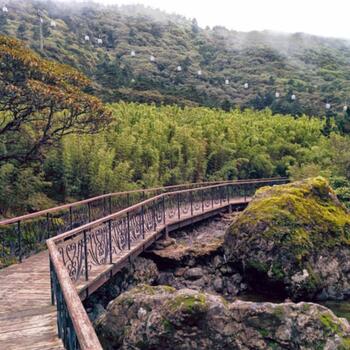 View of the cable car from the boardwalk on the lower slopes of Jiaozi Snow Mountain (image credit: Philippe Semanaz)