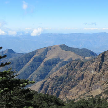 Pine forests overlooking a spine of cliffs on Jiaozi Snow Mountain (image credit: Chiara Ferraris)