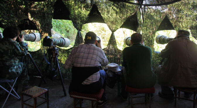 A birdwatching hide merges into the landscape (image credit: Gaoligongshan National Nature Reserve)