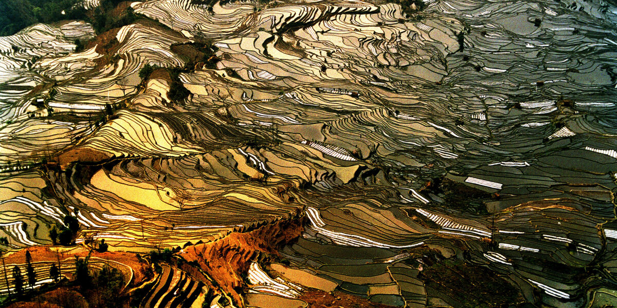 Ancient terraforming: Yunnan's 1,000 year-old Hani Rice Terraces