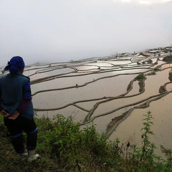 A local Hani woman contemplates the view near the village of Duoyishu (image credit: Chiara Ferraris)