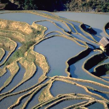 A small storage shack sits among the terraces in Yuanyang (image credit: Jim Goodman)