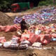 Garbage dump meat operation broken up by Yunnan police