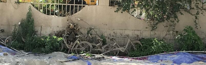 Fossilized ofo bikes, Late Ming Dynasty