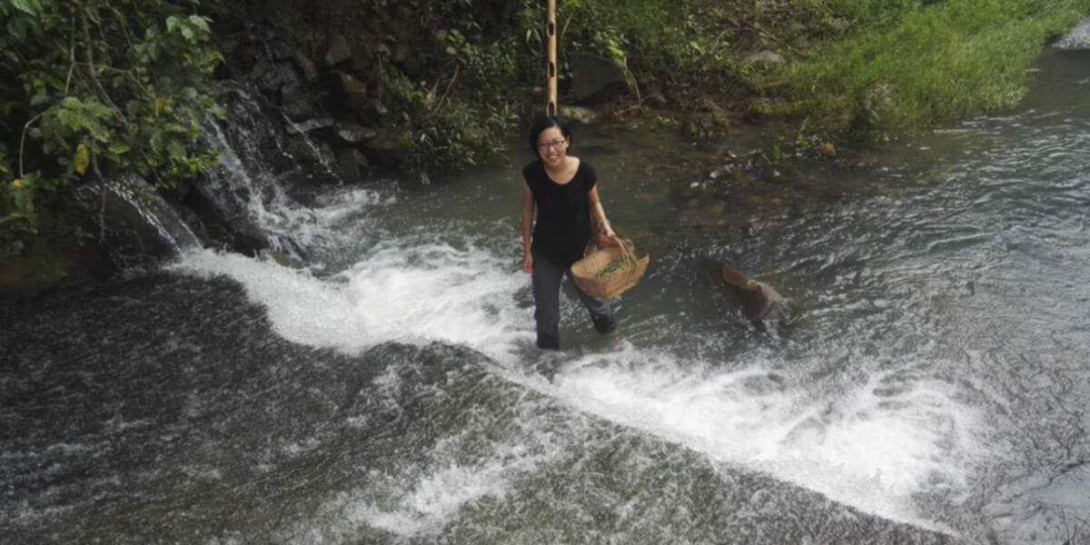 Kunming's sustainable food scene, an interview with Mira Qi