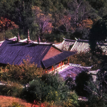 View of Puji Temple