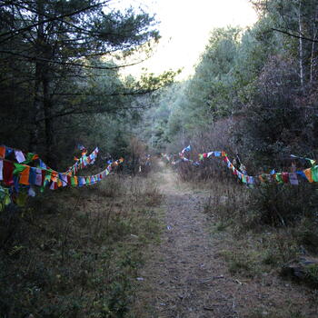 Trail leading up Wenbi Mountain