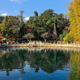 Snapshot: Kunming's Black Dragon Pool