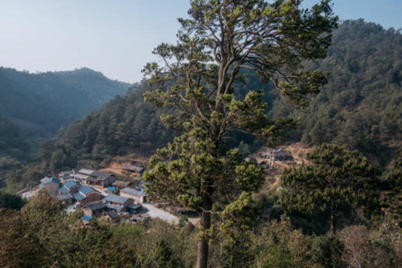 Manwangdong Village, Yunnan province, March 26, 2019 (Image credit: Wu Huiyuan/Sixth Tone)