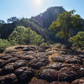 The perfect picnic ground in Liming's backcountry