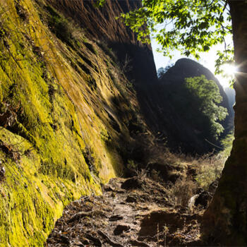 Canyon floor in Liming, Yunnan