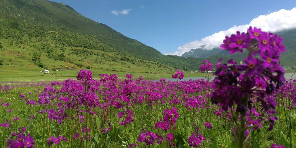 Hiking in Lijiang: Wenhai Mountain