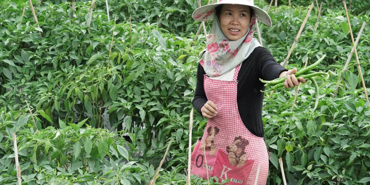 Mountain Futures Biodiversity and Livelihoods Innovations Centre Opens in Honghe County
