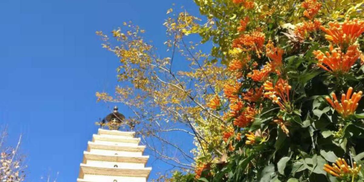 Live: Coronavirus official news and health updates for Yunnan and Kunming