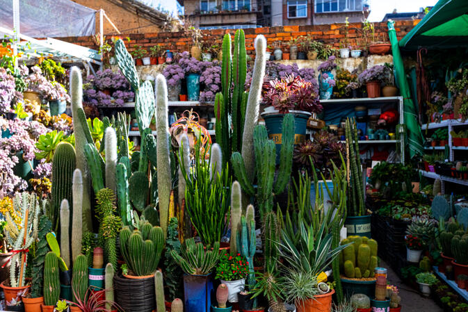 The petite flower market 
