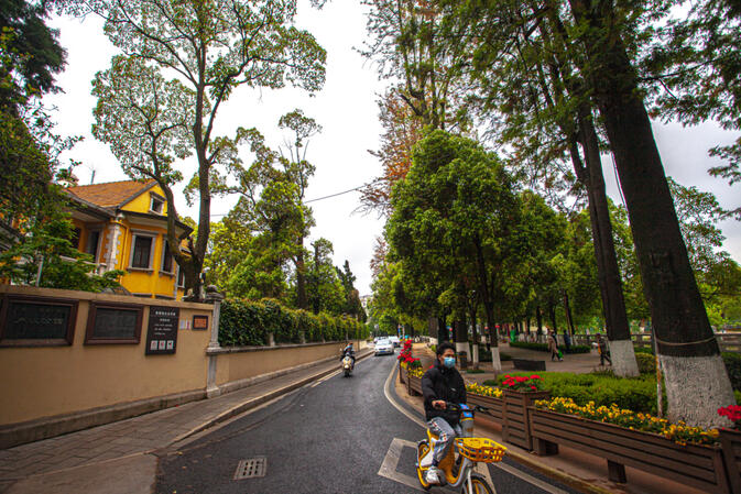 Street alongsides Green Lake outside of the residence