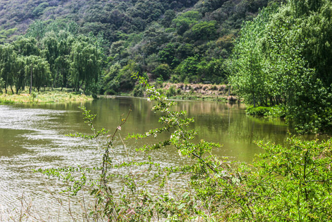 River alongside the road to the valley