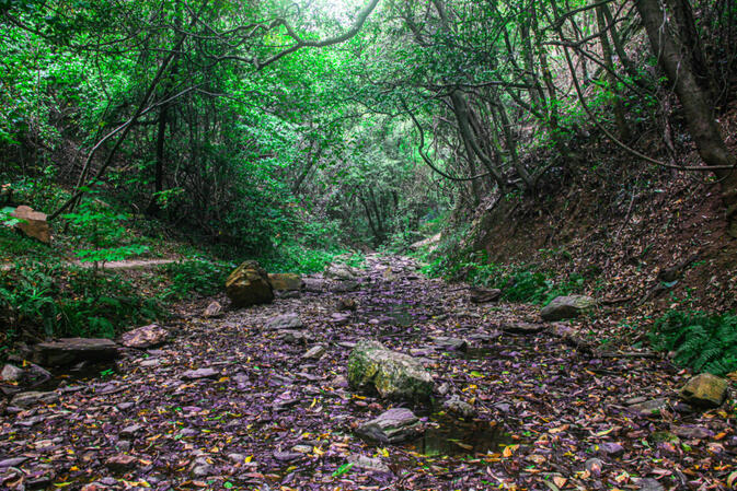 Stream along the hiking route