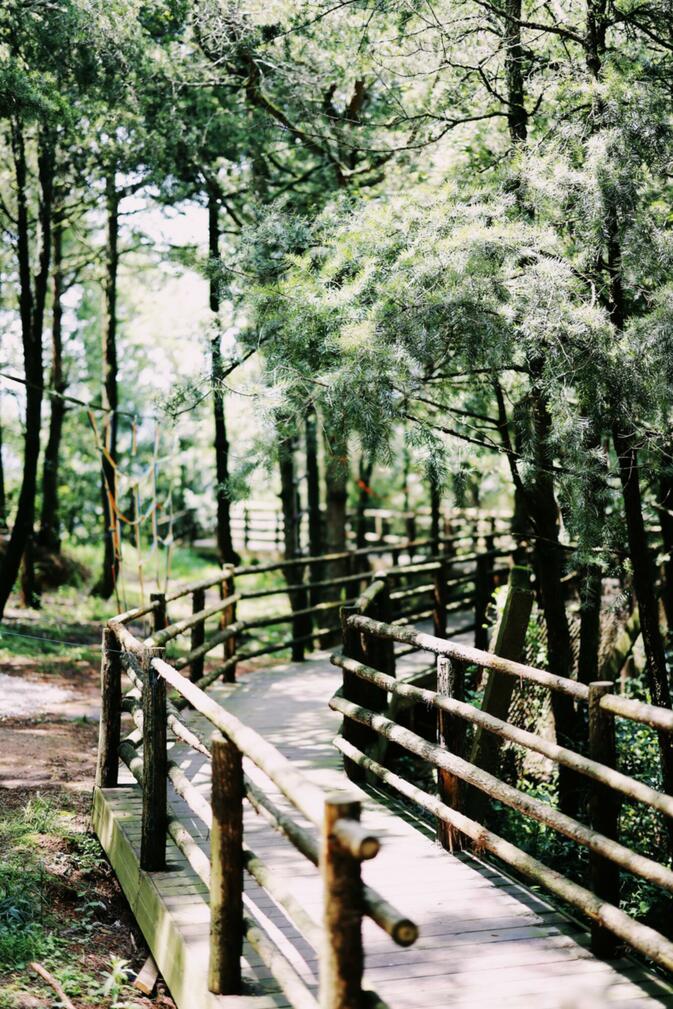 Hiking trail