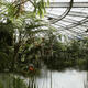 Exploring global biodiversity: The Fuligong greenhouses of Kunming