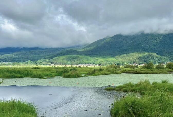 Beautiful scenery of Beihai Wetland