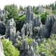 Stone Forest added to World Heritage List