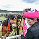 Tibetan horse racing in Shangri-la