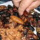 Eating bugs for health and environment
