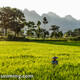 Xingyi: Guizhou's peaceful Karst paradise