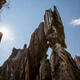 Snapshot: Stone Forest