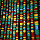Kunming genetic symposium promotes DNA barcoding