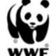 Interview: WWF in Yunnan