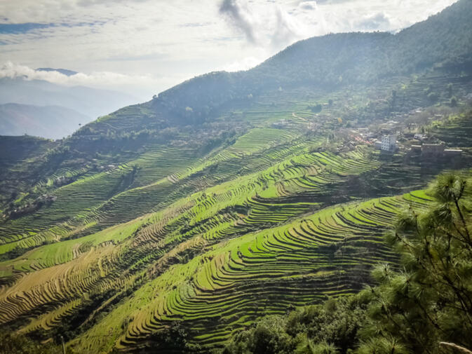 Terraced fields on the slopes of the Ailao Mountain Range