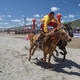 Snapshot: Saima Jie, Yunnan's Tibetan horse festival
